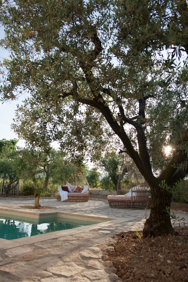 Pool with olive trees